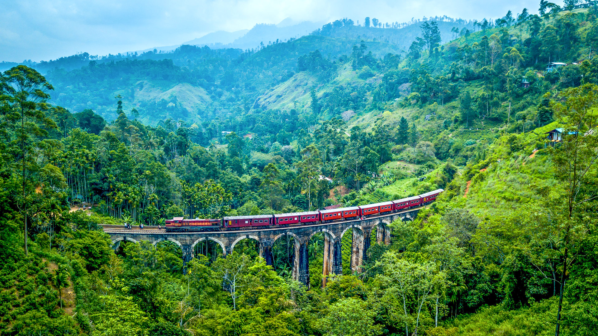 Nuwara Eliya tea country Sri Lanka
